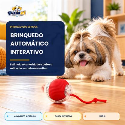 Bola Interativa Pet