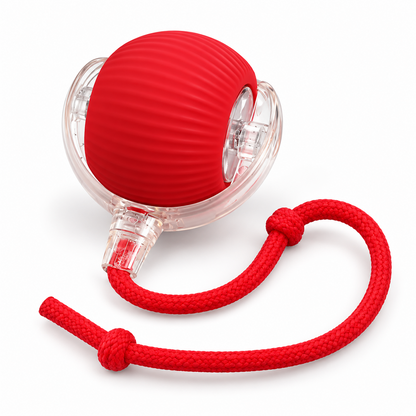 Bola Interativa Pet