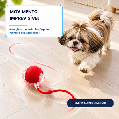 Bola Interativa Pet