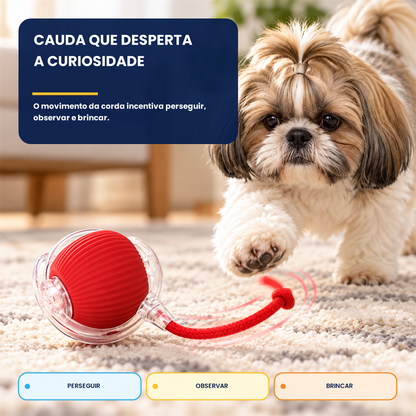 Bola Interativa Pet