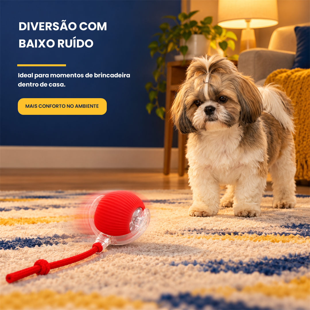 Bola Interativa Pet