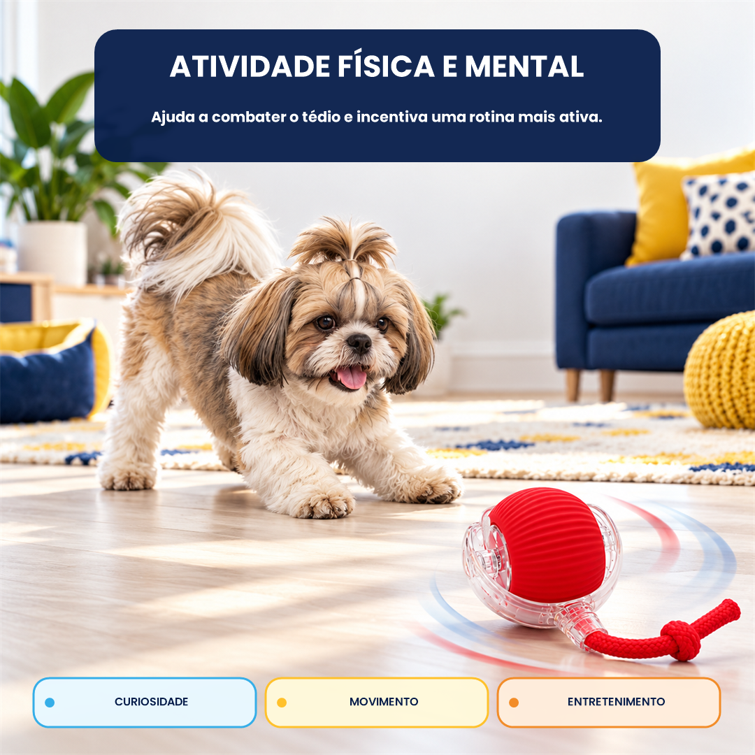 Bola Interativa Pet