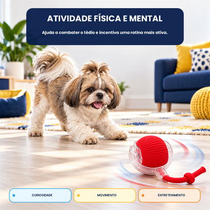 Bola Interativa Pet