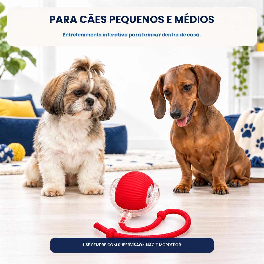 Bola Interativa Pet
