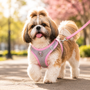 Colete Peitoral para Cães - Air Mesh™
