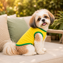 Blusa da seleção Brasileira pra cães - Promoção Copa do Mundo 2026