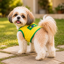 Blusa da seleção Brasileira pra cães - Promoção Copa do Mundo 2026
